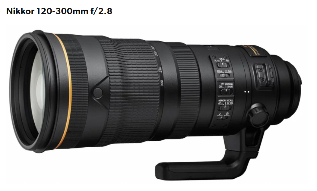 Nikon 120 300