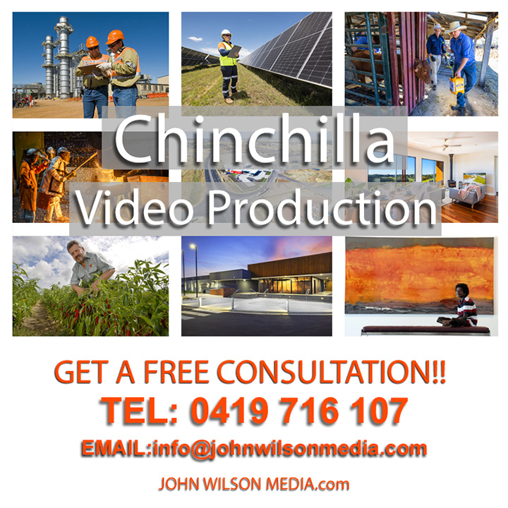 Chinchilla video productions